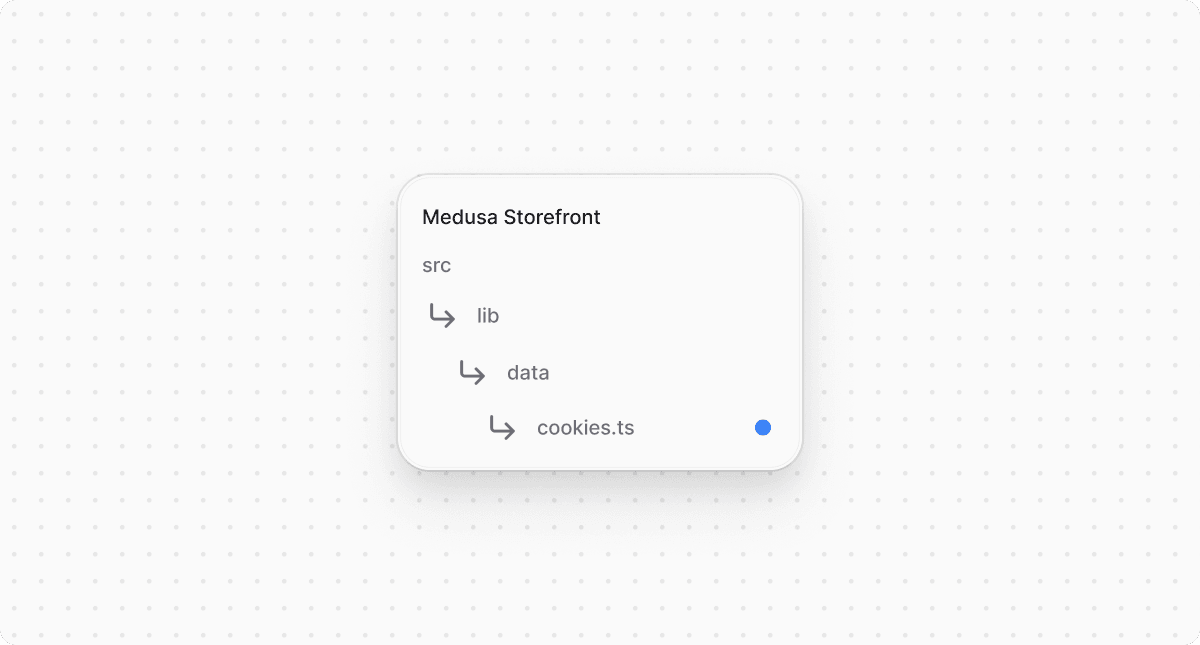 Структура проекта Medusa Storefront после обновления файлов cookie